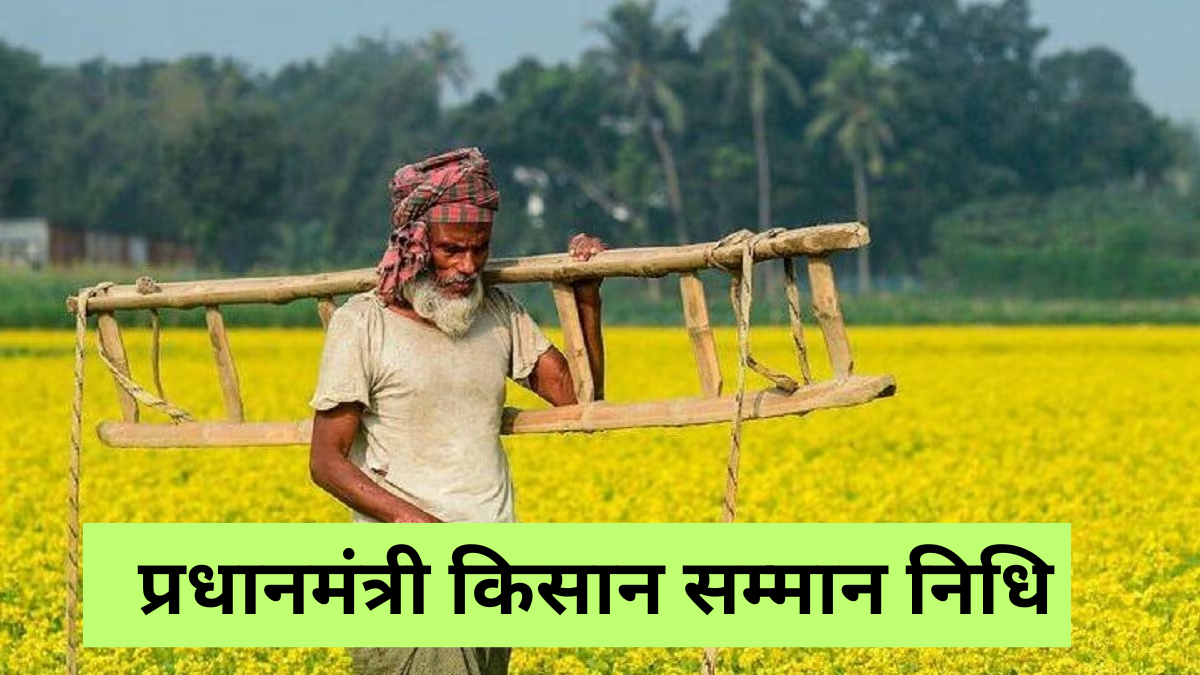 PM Kisan 20th Installment: पीएम किसान की 20वीं किस्त इस दिन आएगी, 9 करोड़ किसानों के लिए ₹2000 की खुशखबरी