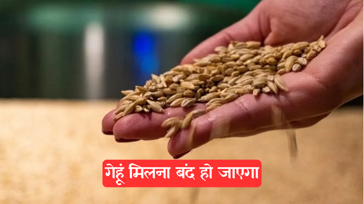 Ration Card: गेहूं मिलना बंद हो जाएगा, मोहाली में राशन कार्ड धारक 30 जून से पहले घर बैठे करें यह ज़रूरी काम