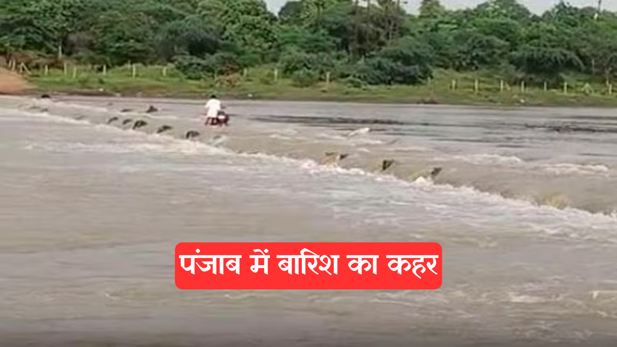 Ravi River: रावी का रौद्र रूप, दीनानगर में जलस्तर बढ़ने से कई गांव दुनिया से कटे, नाव सेवा भी ठप
