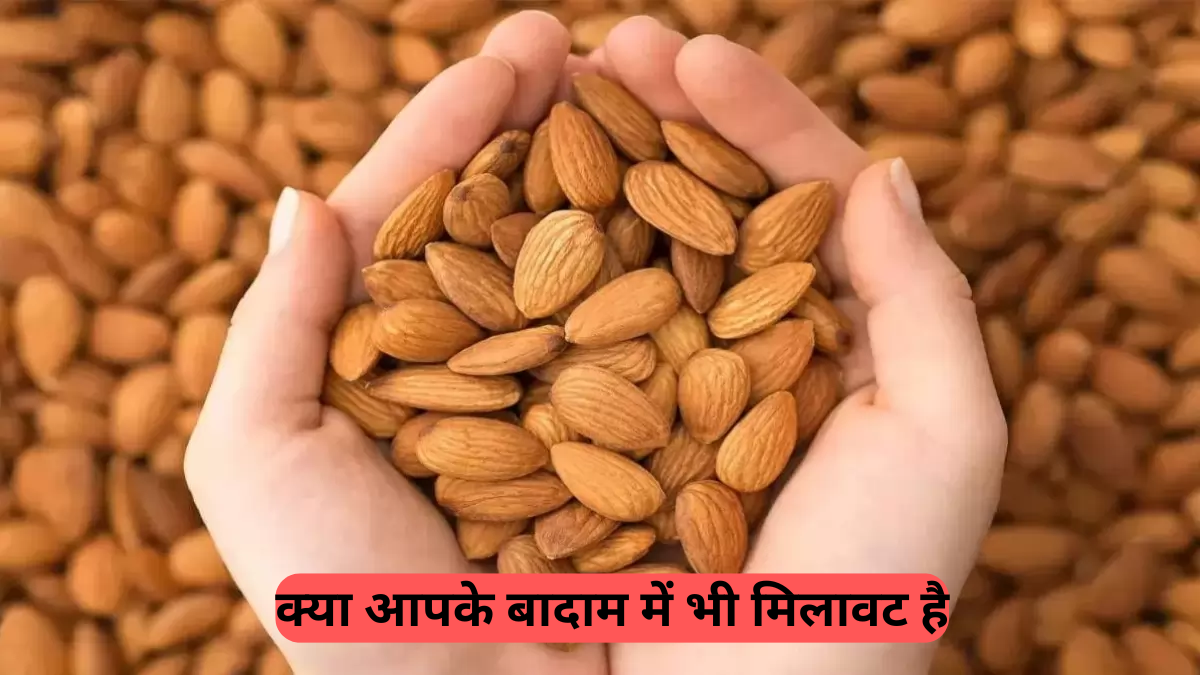 Kitchen Tips: क्या आपके बादाम में भी मिलावट है, ऐसे करें असली-नकली की जांच