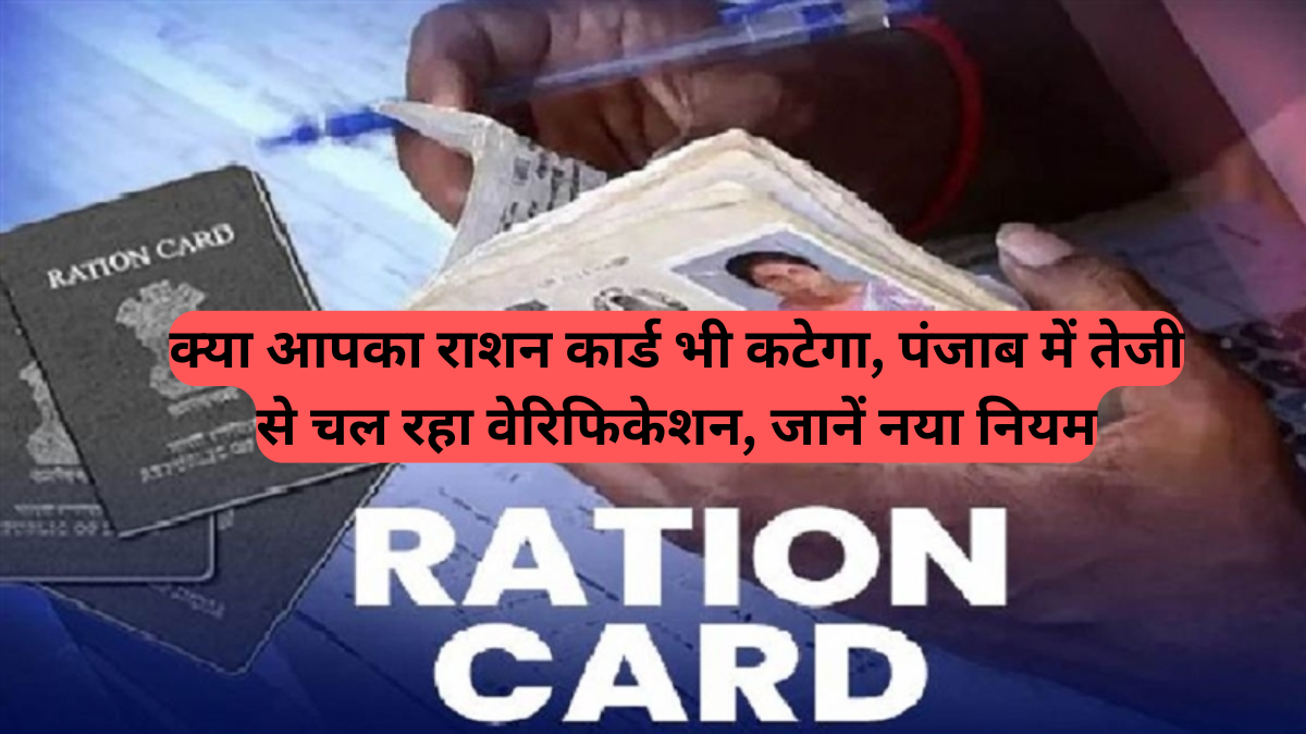 Smart Ration Card: क्या आपका राशन कार्ड भी कटेगा, पंजाब में तेजी से चल रहा वेरिफिकेशन, जानें नया नियम