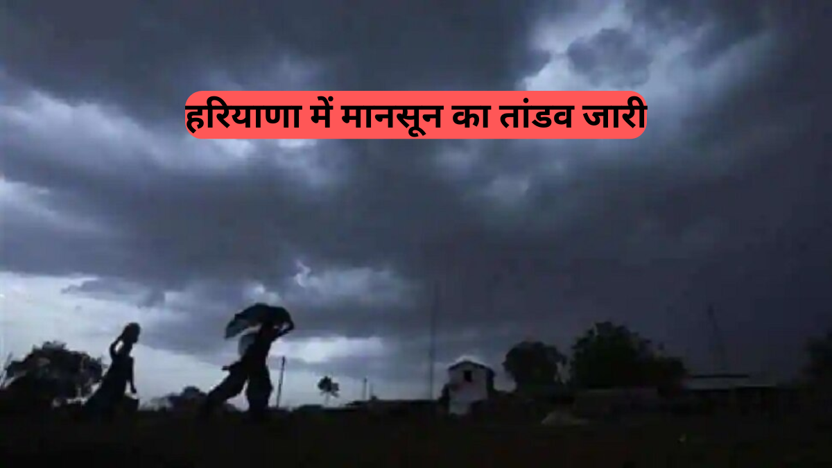Monsoon Update: हरियाणा में मानसून का तांडव जारी, अगले 4 दिनों तक इन जिलों में होगी भारी बारिश