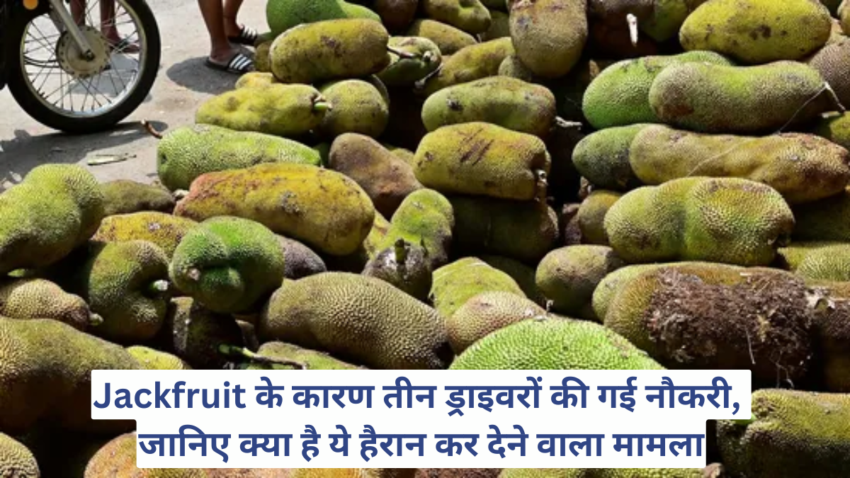 Jackfruit के कारण तीन ड्राइवरों की गई नौकरी, जानिए क्या है ये हैरान कर देने वाला मामला