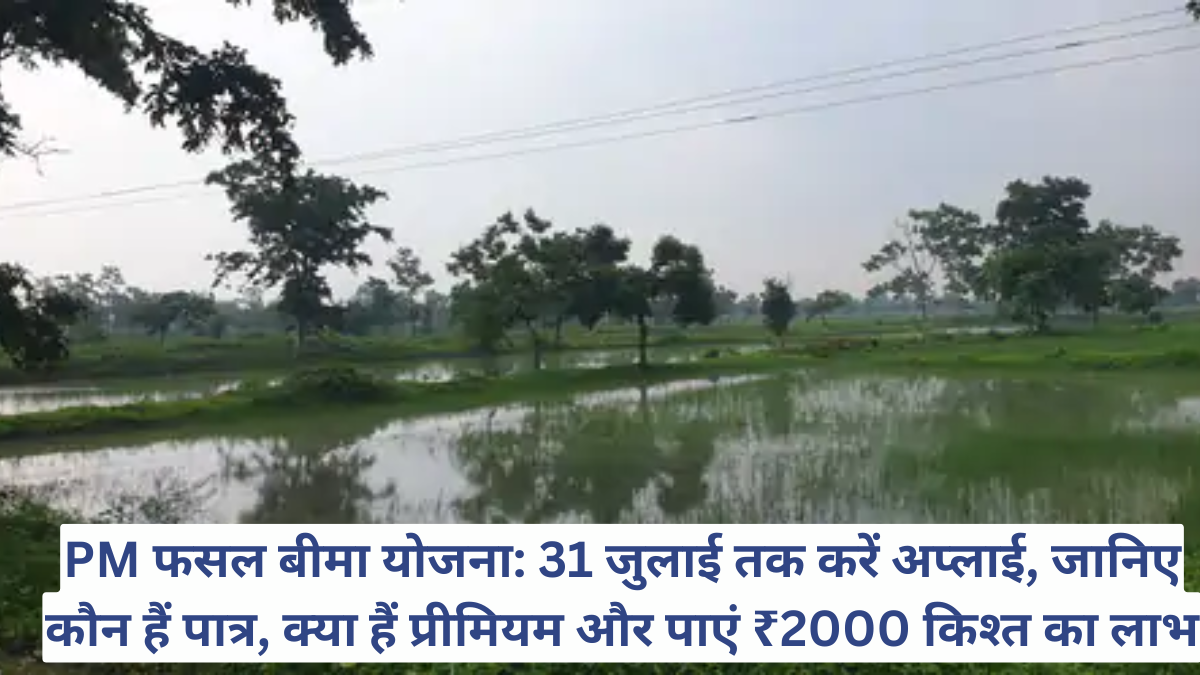 PM फसल बीमा योजना: 31 जुलाई तक करें अप्लाई, जानिए कौन हैं पात्र, क्या हैं प्रीमियम और पाएं ₹2000 किश्त का लाभ