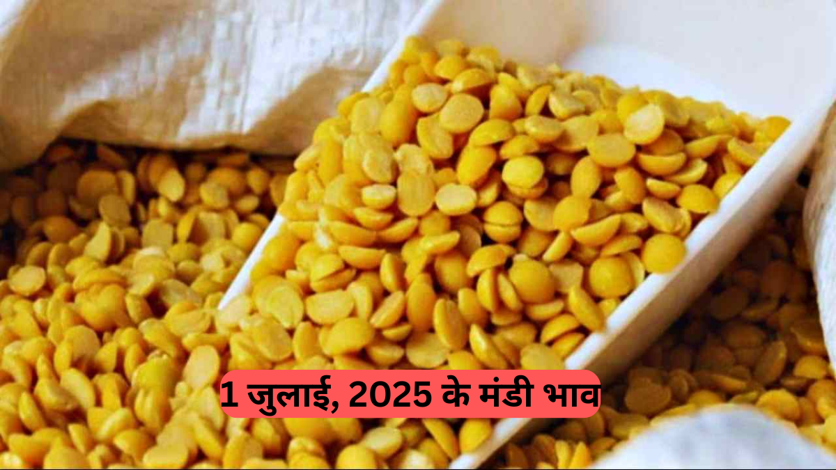 Mandi Bhav Today (July 1, 2025): आज के मंडी भाव - प्याज हुआ हल्का, लहसुन में दिखी तेज़ी; सोयाबीन, गेहूं, चने के ताजा रेट्स