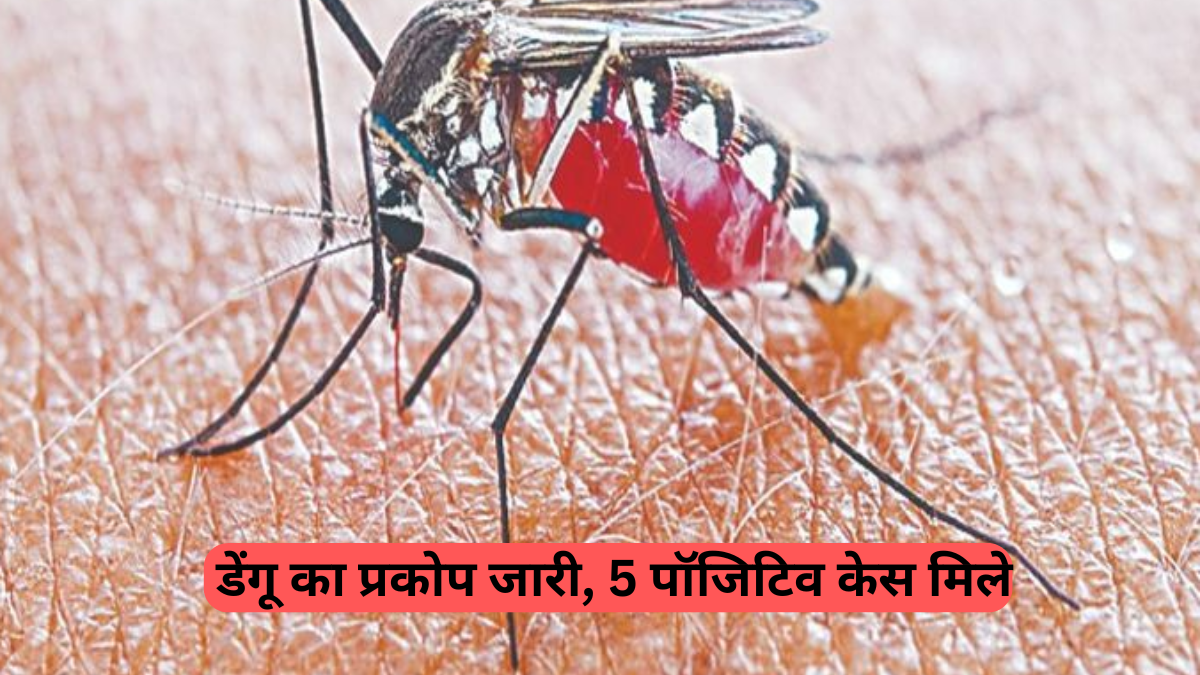 Haryana Dengue Alert: यमुनानगर में डेंगू का प्रकोप जारी, 5 पॉजिटिव केस मिले, स्वास्थ्य विभाग ने जारी की एडवाइजरी