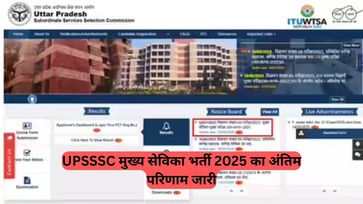 UPSSSC: मुख्य सेविका भर्ती 2025 का अंतिम परिणाम जारी, 2,536 उम्मीदवार चयनित, जानें कट-ऑफ और कैसे करें डाउनलोड