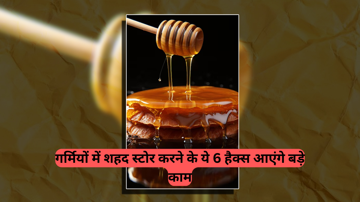 Pure Honey Tips: असली या नकली शहद? घर बैठे पहचानें 5 आसान तरीकों से, गर्मियों में शहद स्टोर करने के ये 6 हैक्स आएंगे बड़े काम