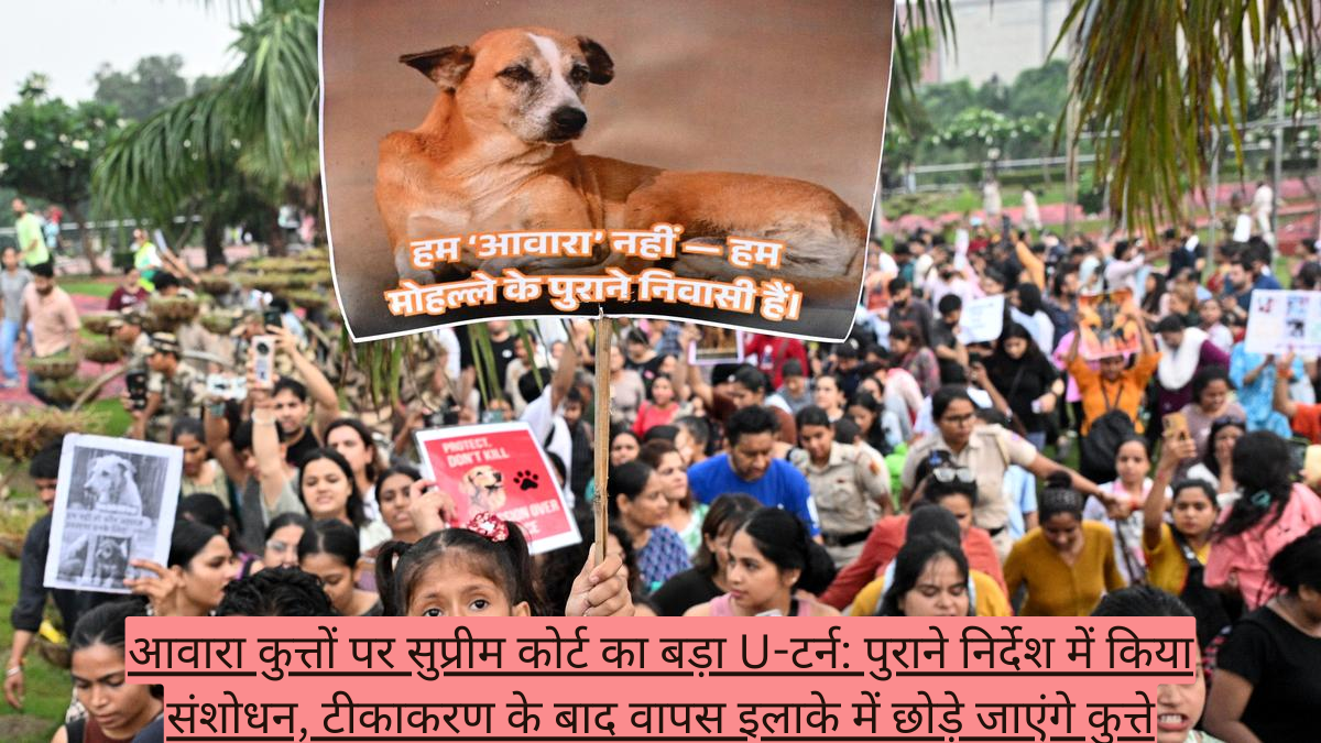 आवारा कुत्तों पर सुप्रीम कोर्ट का बड़ा U-टर्न: पुराने निर्देश में किया संशोधन, टीकाकरण के बाद वापस इलाके में छोड़े जाएंगे कुत्ते