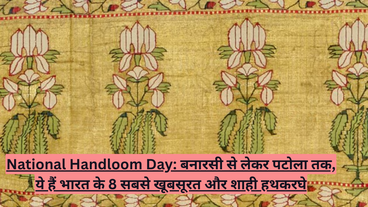 National Handloom Day: बनारसी से लेकर पटोला तक, ये हैं भारत के 8 सबसे खूबसूरत और शाही हथकरघे