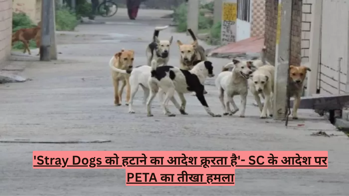 'Stray Dogs को हटाने का आदेश क्रूरता है'- SC के आदेश पर PETA का तीखा हमला
