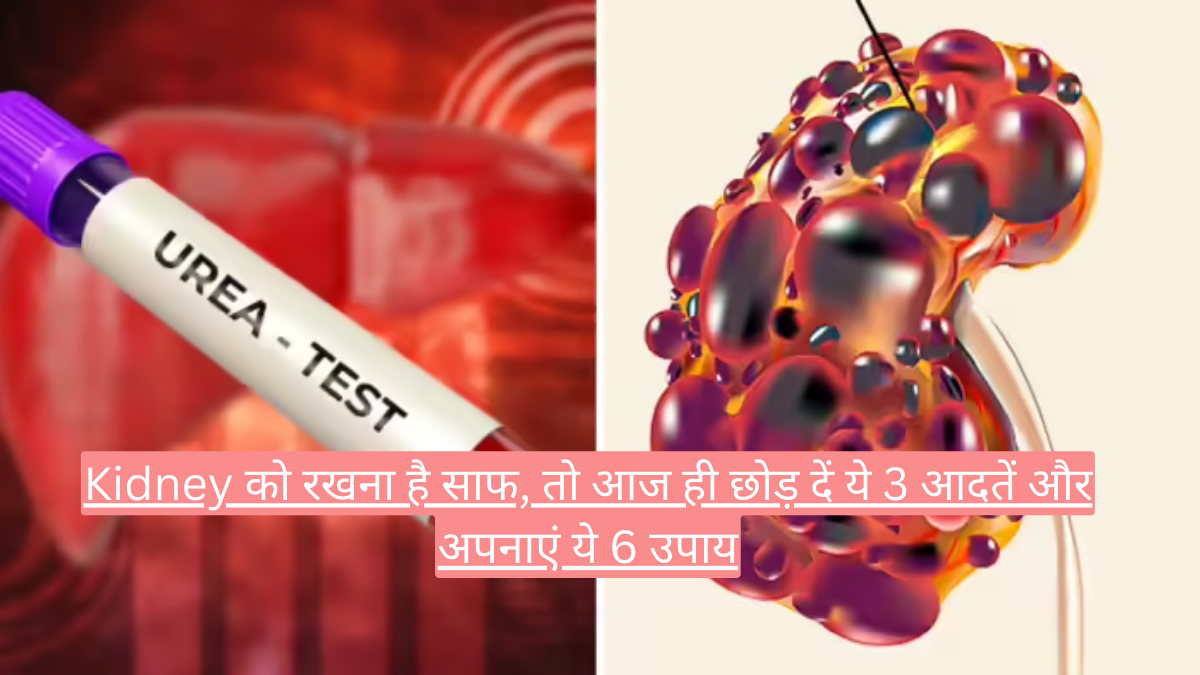 Kidney को रखना है साफ, तो आज ही छोड़ दें ये 3 आदतें और अपनाएं ये 6 उपाय