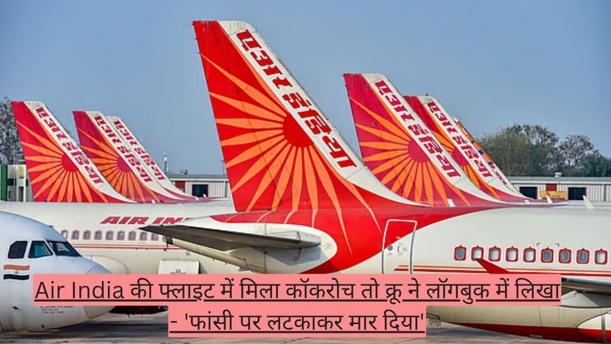 Air India की फ्लाइट में मिला कॉकरोच तो क्रू ने लॉगबुक में लिखा - 'फांसी पर लटकाकर मार दिया'