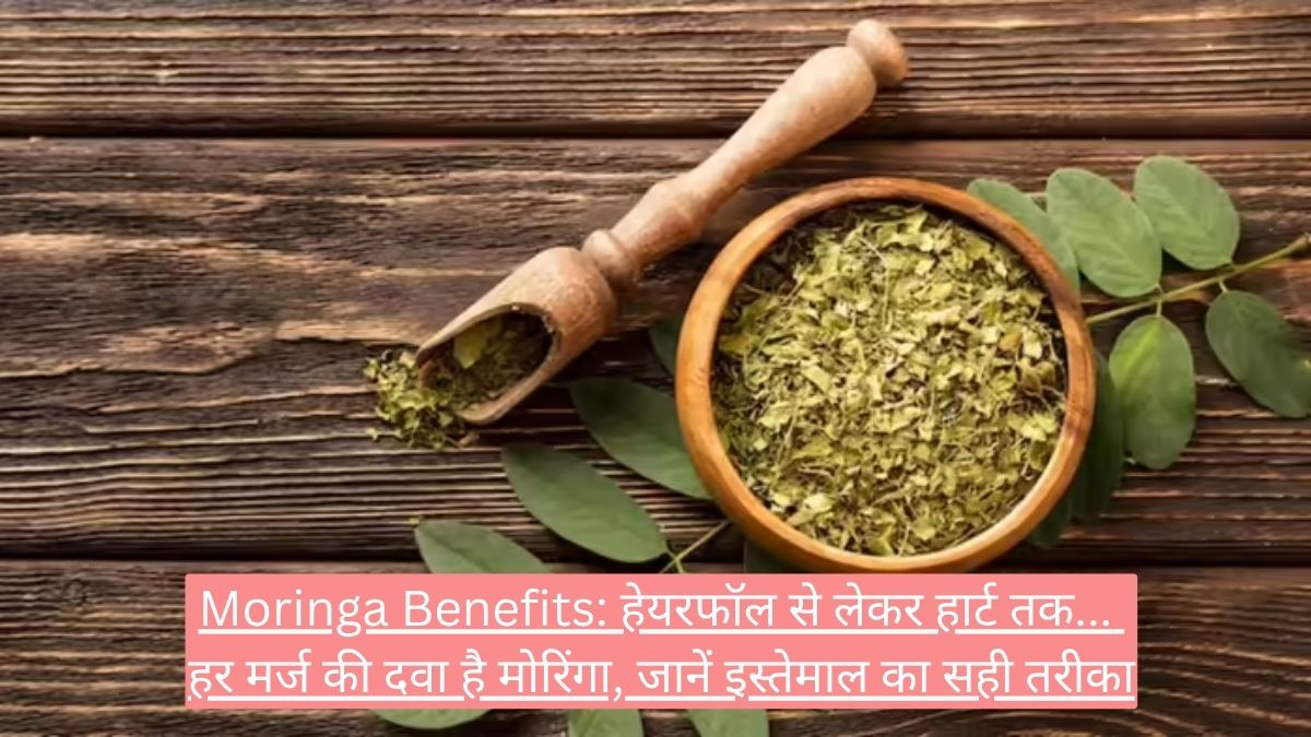 Moringa Benefits: हेयरफॉल से लेकर हार्ट तक... हर मर्ज की दवा है मोरिंगा, जानें इस्तेमाल का सही तरीका