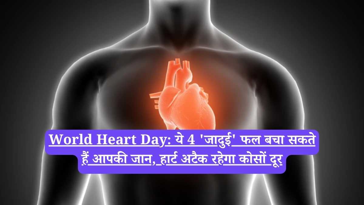 World Heart Day: ये 4 'जादुई' फल बचा सकते हैं आपकी जान, हार्ट अटैक रहेगा कोसों दूर