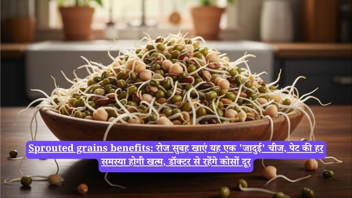 Sprouted grains benefits: रोज सुबह खाएं यह एक 'जादुई' चीज, पेट की हर समस्या होगी खत्म, डॉक्टर से रहेंगे कोसों दूर